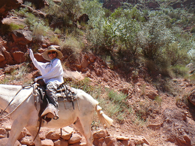 images/A-Mule Ride- returning to the Rim (11).jpg